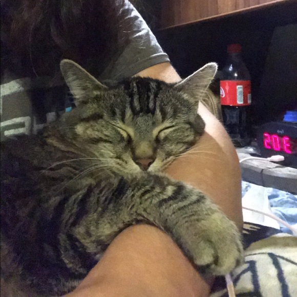 Meet me 😘❤️ - Picture 5 of 12